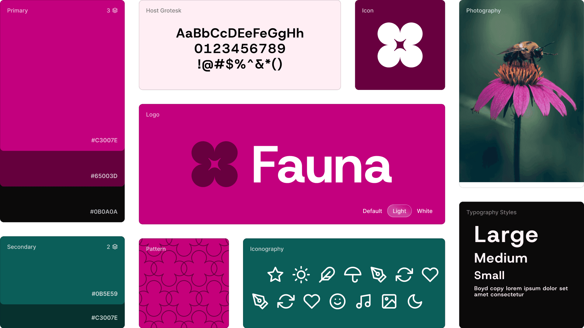 Placeholder for the brand-reading engine's output on a single upload: extracted colour swatches with harmony overlays, the same logo sorted into wordmark, logotype, horizontal, and icon formats, and sample headings separated from body copy