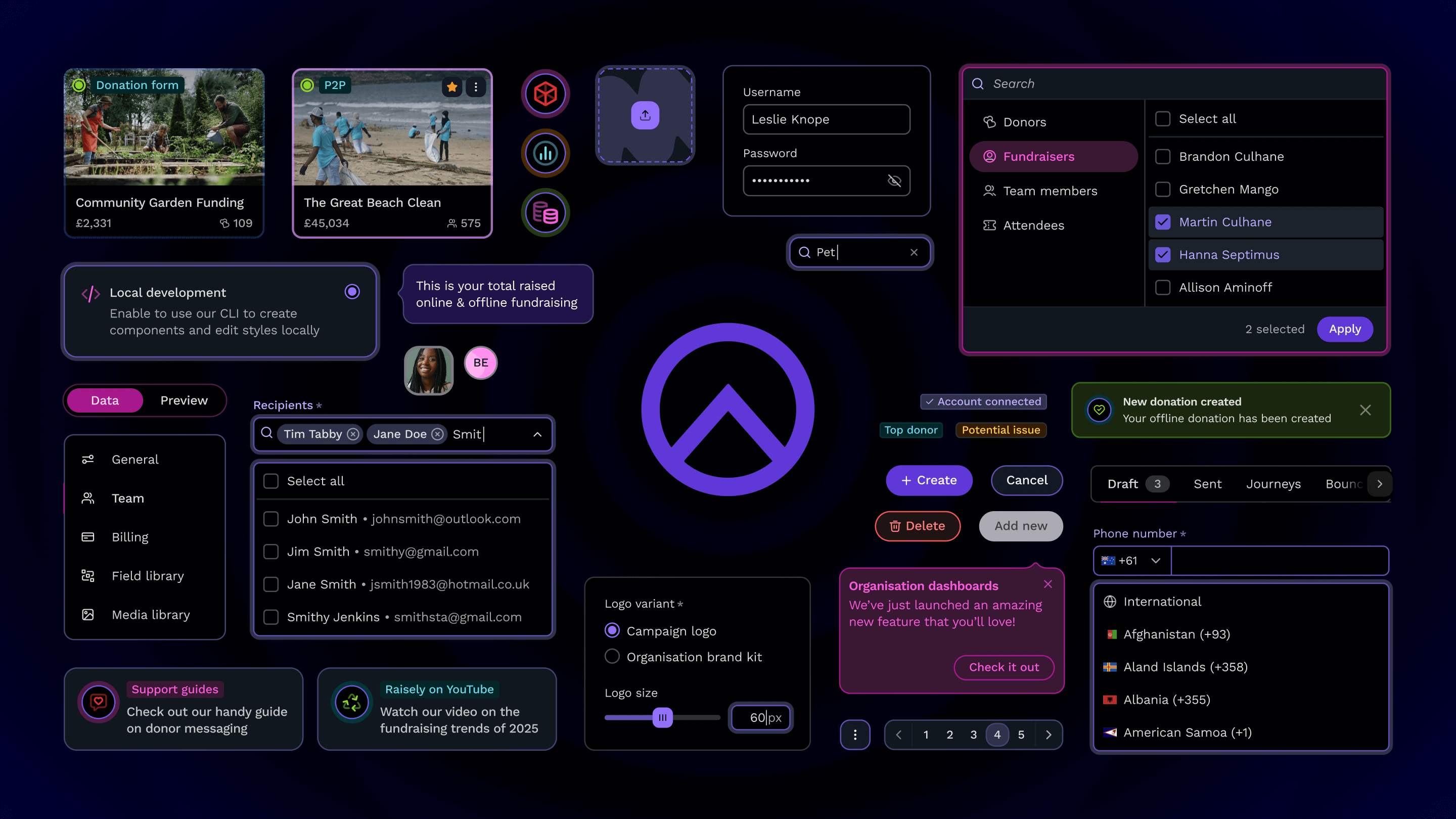 An organic grid of different system components centred around a large Raisely icon